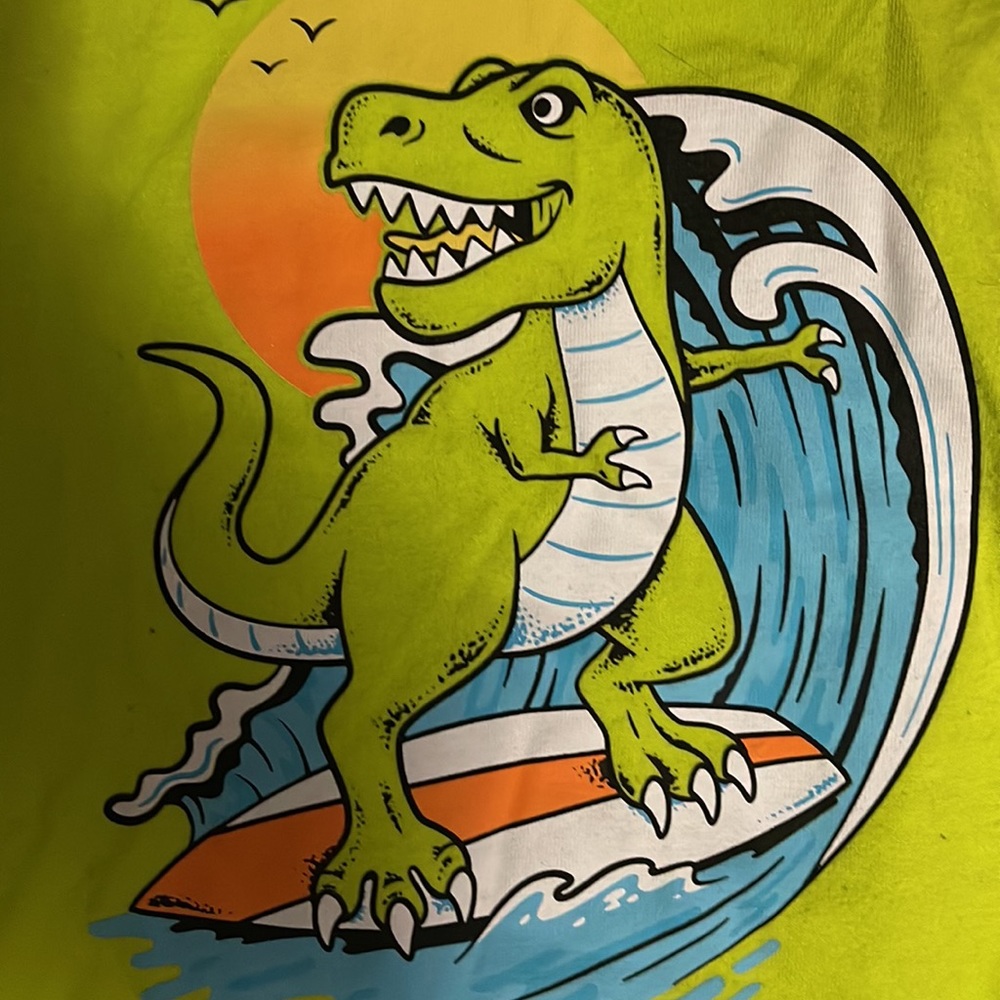 Toddlers dinosaur shirt (3T) - Picture 2 of 4